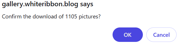 Browser confirmation asking to download pictures